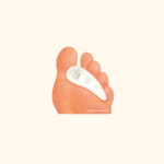 Разделител за чукообразни пръсти и мазоли Pedag - Image 2